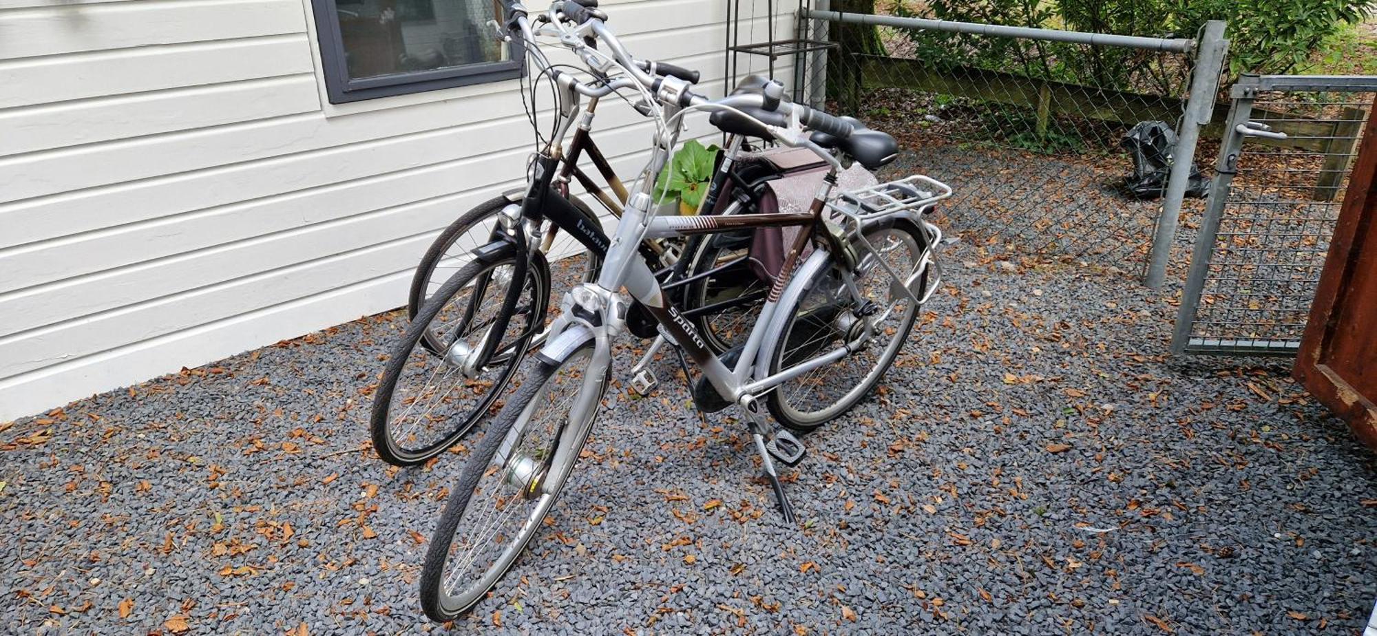 "Dennenhuisje" Op Bospark Ijsselheide Hattemerbroek Exterior foto